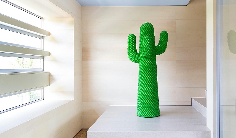 Cactus 衣帽架