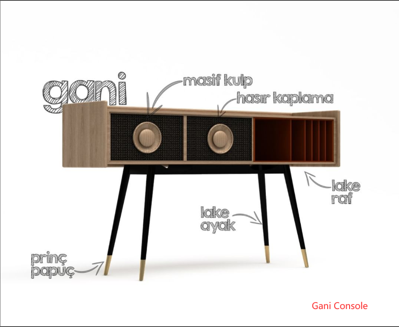 Gani Console