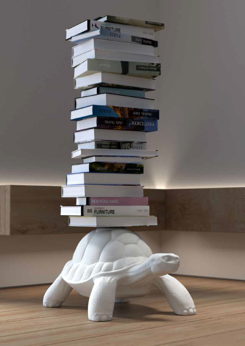 Turtle Carry Bookcase