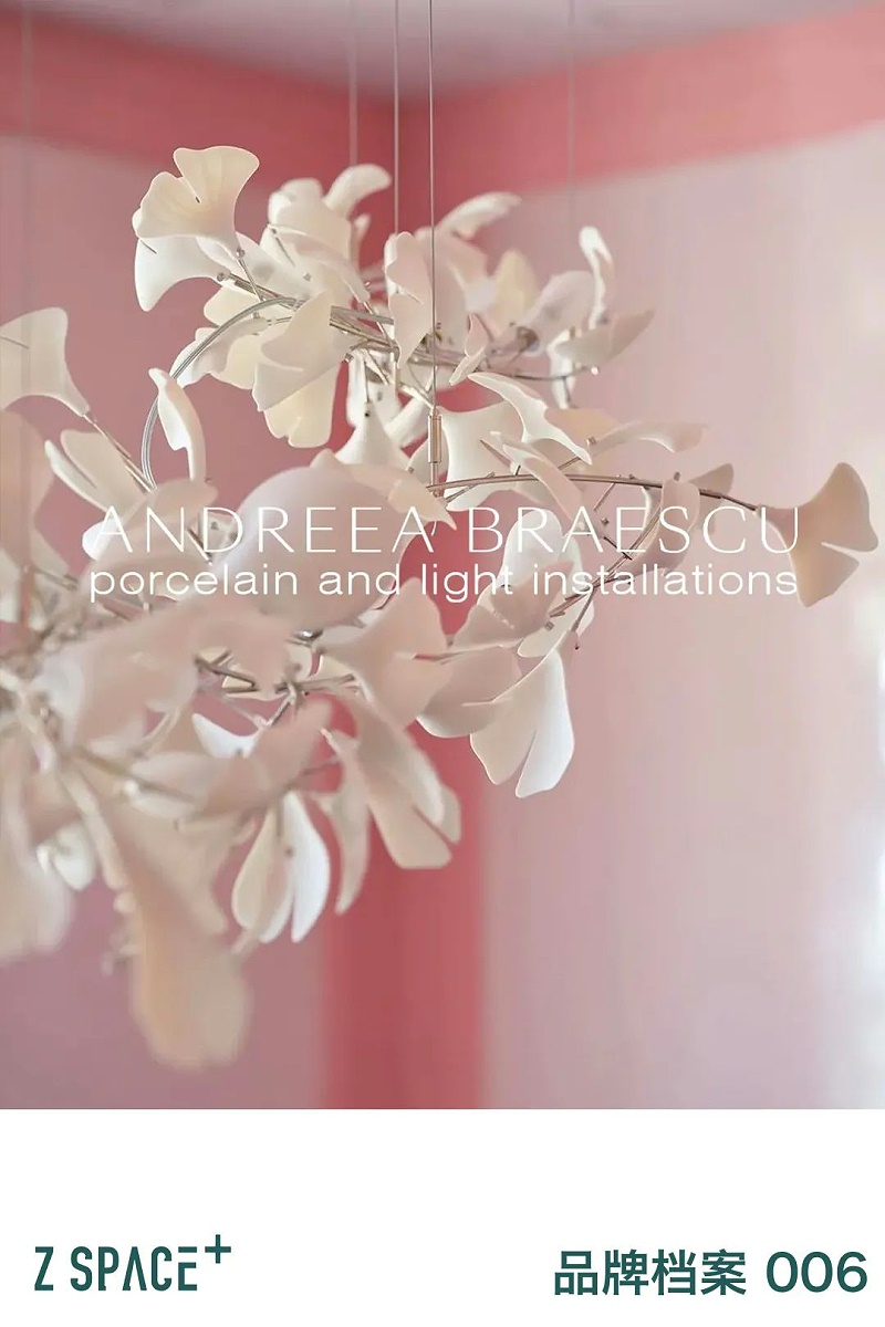 ANDREEA BRAESCU