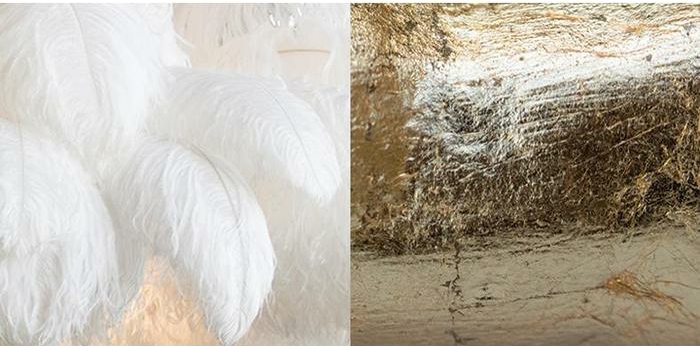 The Feather Lamp