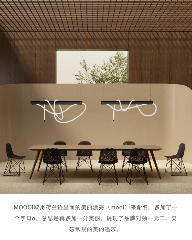 公司介绍